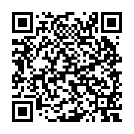 QR code for TZP290