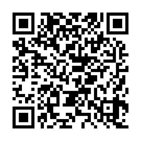 QR code for TZP939