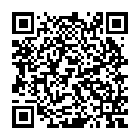 QR code for TZQ295
