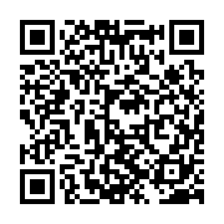 QR code for TZQ370