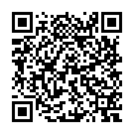 QR code for TZS950