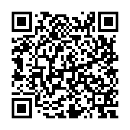 QR code for TZS951