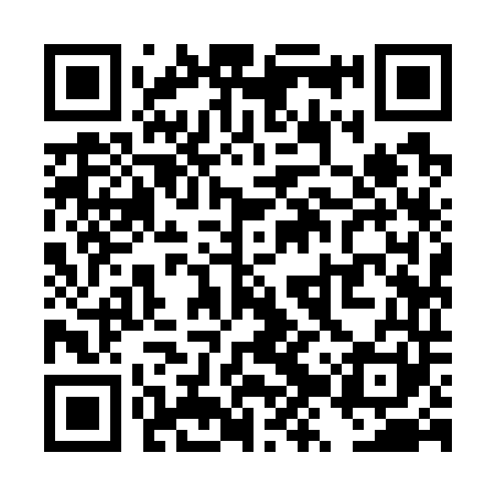 QR code for TZY741