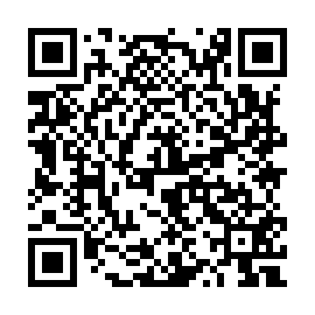 QR code for TZY951