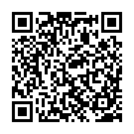 QR code for TZZ384