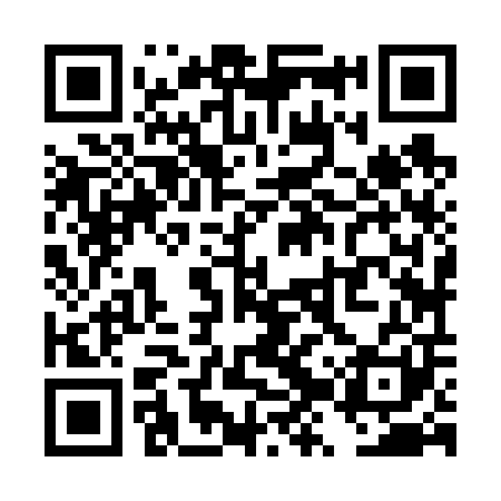 QR code for TZZ601
