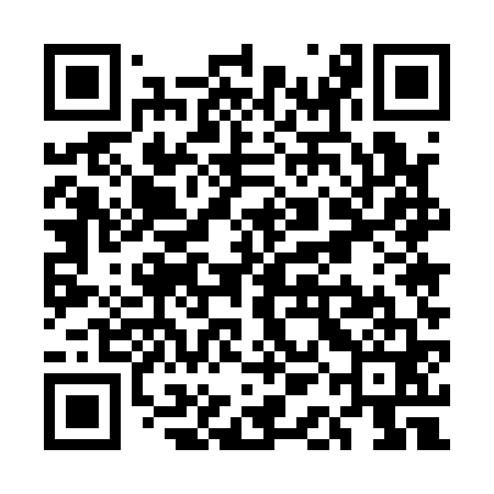 QR code for UAE161