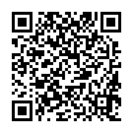 QR code for UAE294