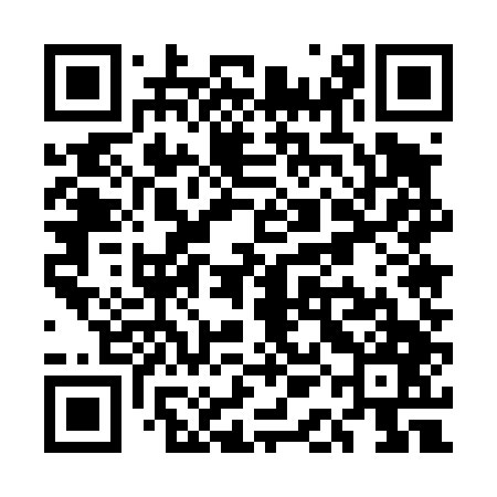 QR code for UAE447
