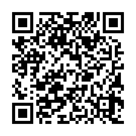 QR code for UAE838