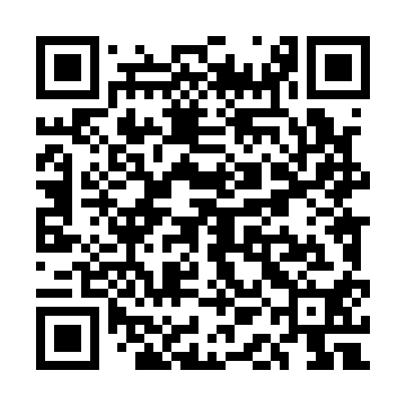 QR code for UAL110