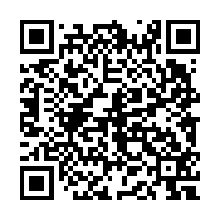 QR code for UAL613