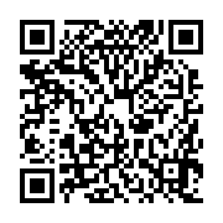 QR code for UAP294
