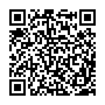 QR code for UAP296