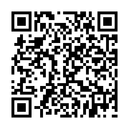 QR code for UAQ961
