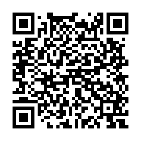 QR code for UBC541