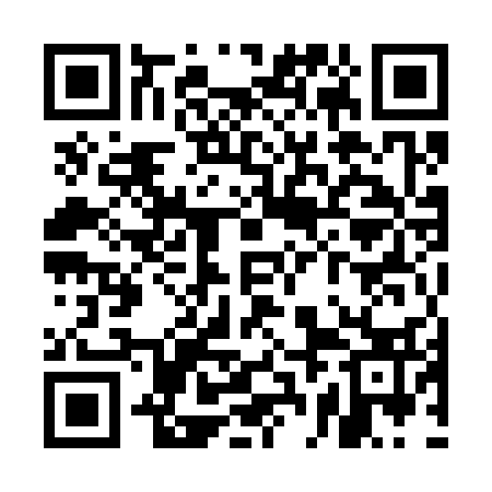 QR code for UBM333