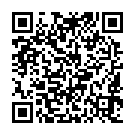 QR code for UBM393