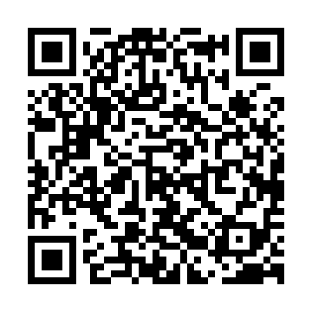 QR code for UBP919