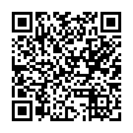 QR code for UCF381