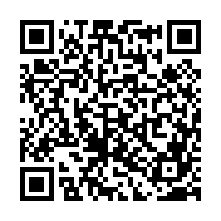 QR code for UDE066