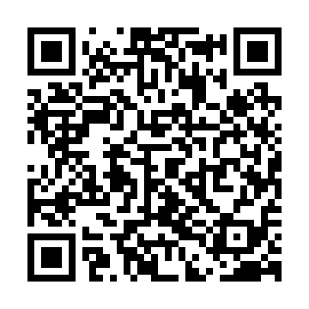 QR code for UDE219
