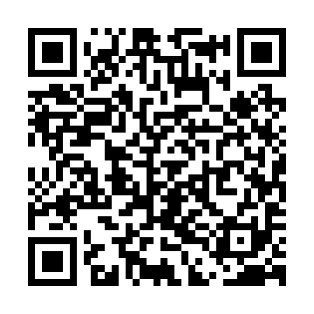 QR code for UDE291