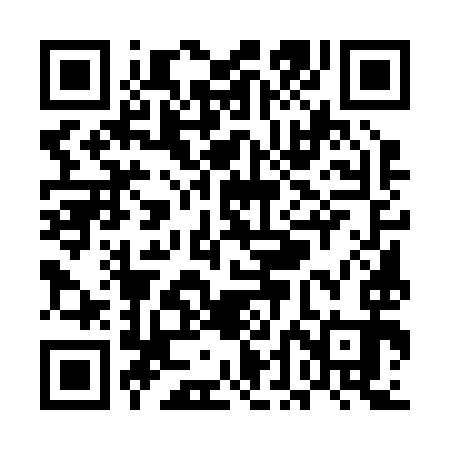 QR code for UDE293