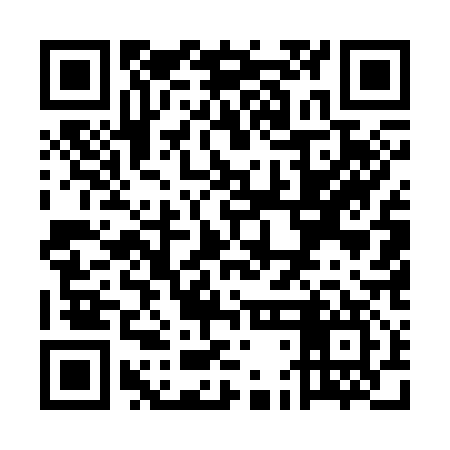 QR code for UDE317