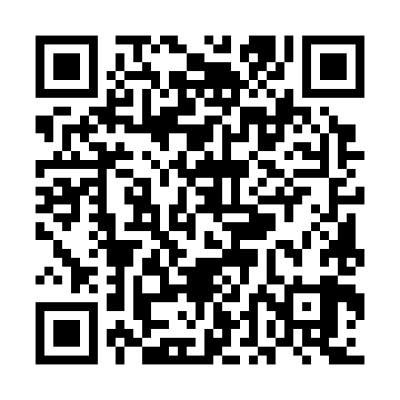 QR code for UDE389