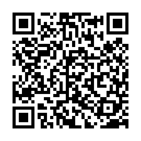QR code for UDE449