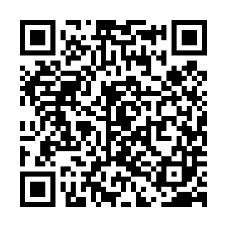 QR code for UDE483