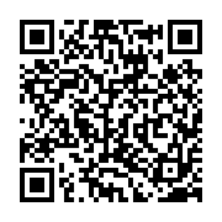 QR code for UDF213