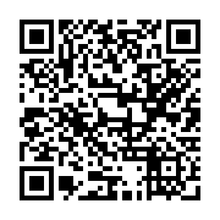 QR code for UDF339