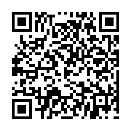 QR code for UDF390