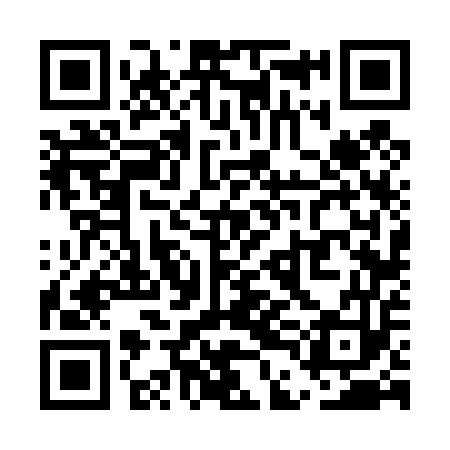 QR code for UDF453