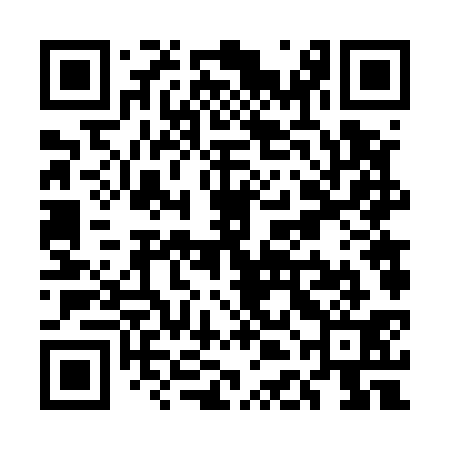 QR code for UDF531