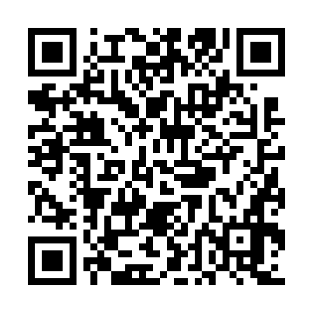 QR code for UDF676