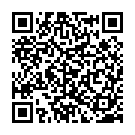 QR code for UDG161