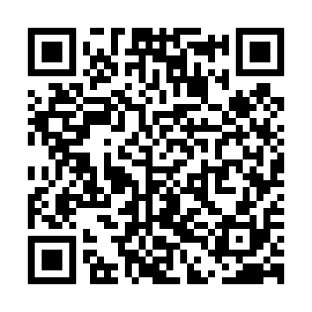 QR code for UDG410