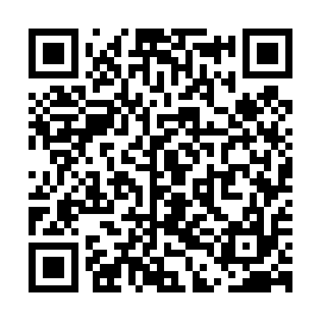 QR code for UDG417