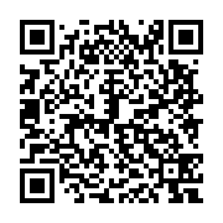 QR code for UDH539