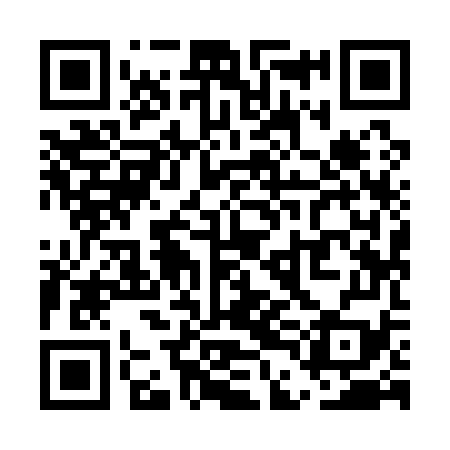 QR code for UDI179