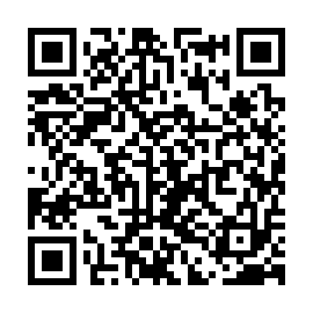 QR code for UDI313