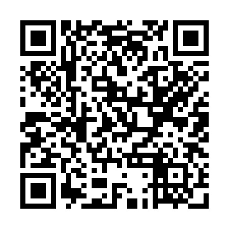 QR code for UDI382