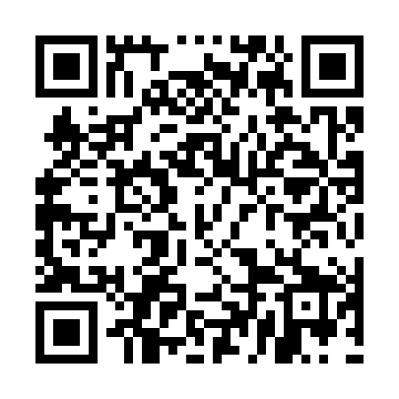 QR code for UDI389