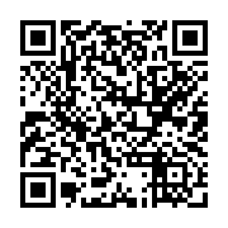 QR code for UDI393