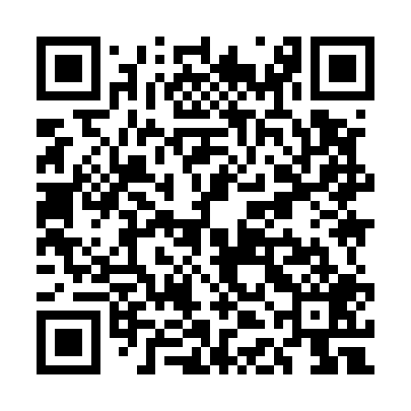 QR code for UDI509