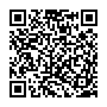 QR code for UDI563