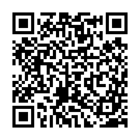 QR code for UDI647